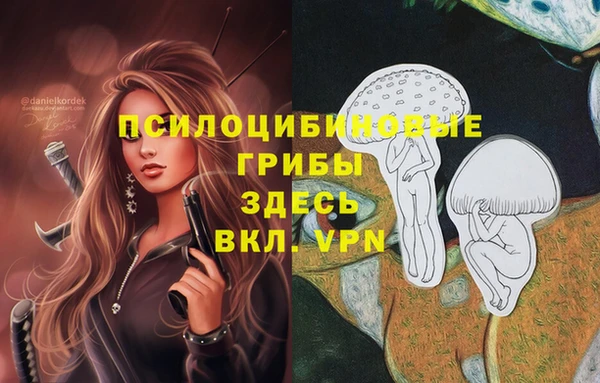 прущий лед Гусиноозёрск