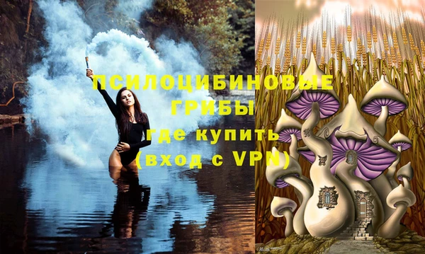 мдма Гусь-Хрустальный