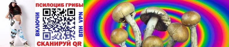 Галлюциногенные грибы Magic Shrooms hydra ТОР Еманжелинск